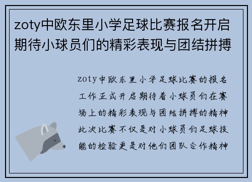 zoty中欧东里小学足球比赛报名开启期待小球员们的精彩表现与团结拼搏精神