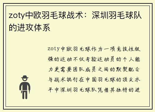 zoty中欧羽毛球战术：深圳羽毛球队的进攻体系
